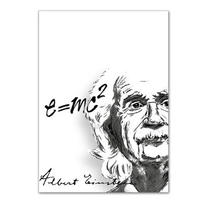 Bildmappe Flügelmappe bis 18x25 cm für Schul- und Kindergartenfotos 50 Stck. "Einstein"