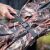 Caruba Camouflage Tarnzelt Single mit Stuhl