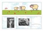 Bildmappe für Schul- und Kindergartenfotos 25 Stck. "Schaf"